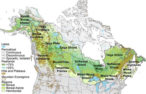 New Framework Identifies Climate Change Refugia In Boreal Forest