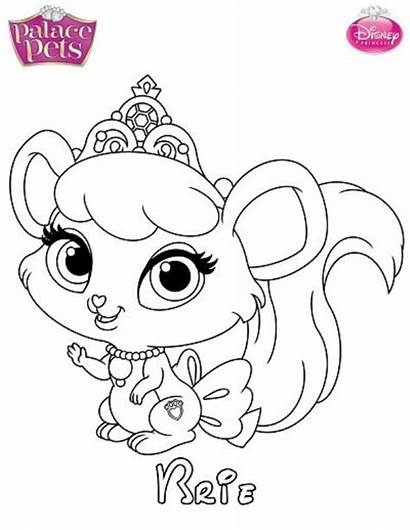 Palace Brie Fun Coloring Pets Pages Princess