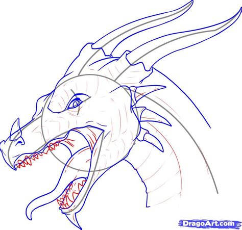 Dragon Head Drawing Easy Dragon Drawings Cool Drawings Animal