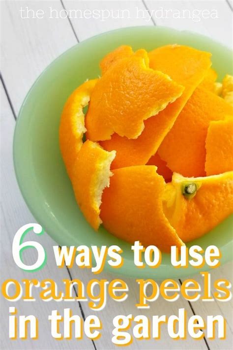 Orange Peels On A Green Plate With The Words 6 Ways To Use Orange Peels