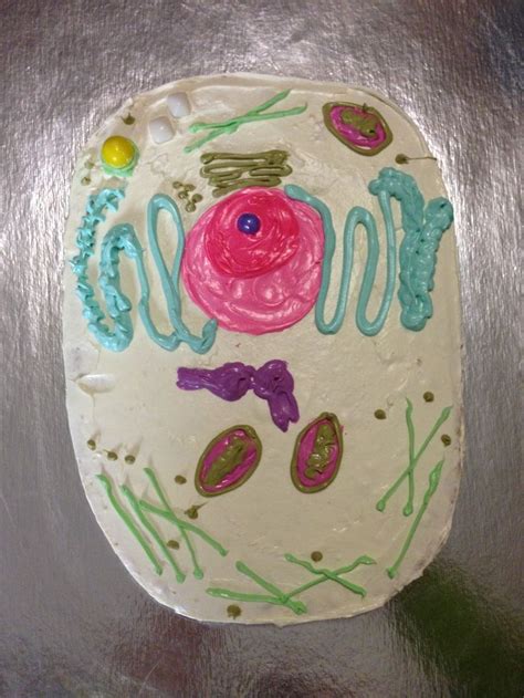 Maybe you would like to learn more about one of these? 1000+ images about Plant cell cakes on Pinterest | Models ...