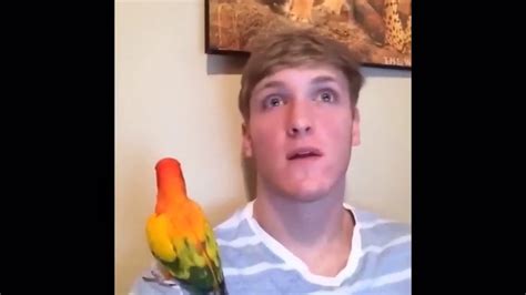 Logan Paul Funny Vines Fail 2013 Youtube