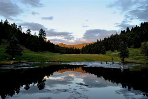 Sulpher Bog Valles Caldera National Perserve Mexico Destinations