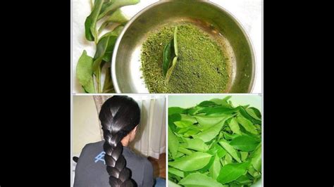 Home Remedies For Hair Growth And Thickness Coconut Milk Amla Curry