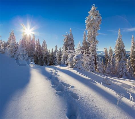 Sunny Winter Morning In The Mountain Stock Image Colourbox