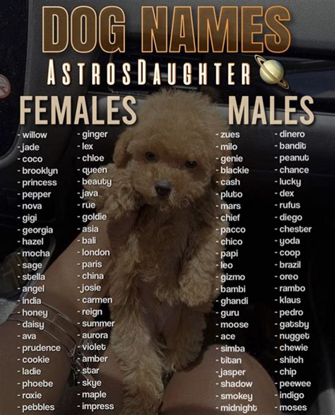𝐚𝐬𝐭𝐫𝐨𝐬𝐝𝐚𝐮𝐠𝐡𝐭𝐞𝐫🦋 Dog Names Cute Names For Dogs Cute Animal Names