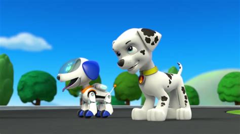 Pups Save Ryders Robottrivia Paw Patrol Wiki Fandom Powered By Wikia