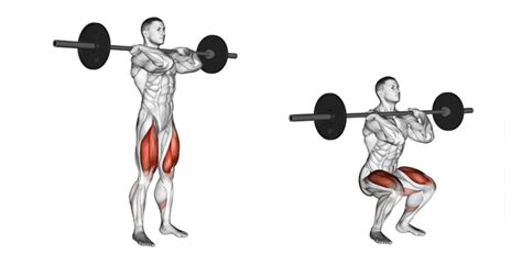 Barbell Front Squats The Most Effective Quad Exercise That Most People