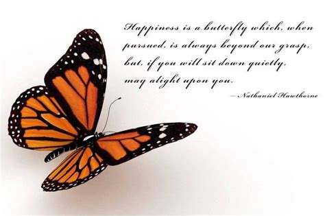 Happiness Is Like A Butterfly Which When Pursued Is Always Beyond