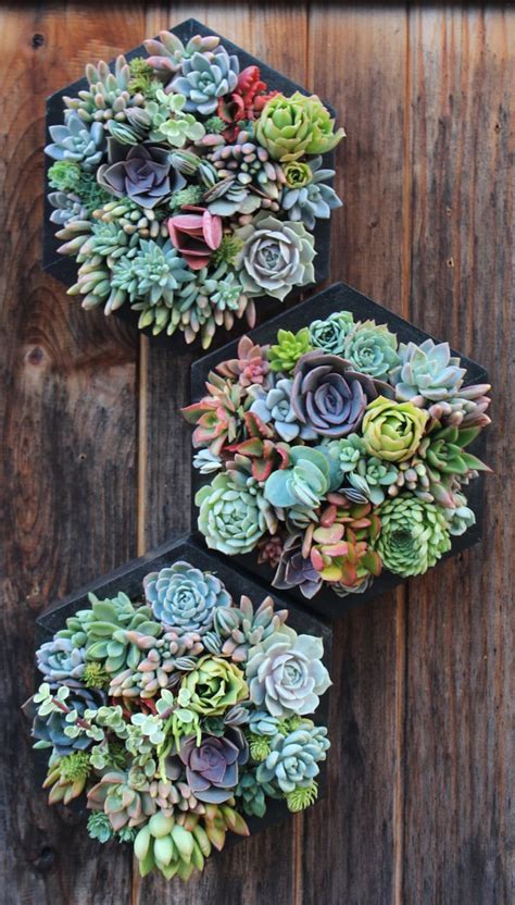 15 Hanging Succulent Planters To Turn Your Walls Into Vertical Gardens