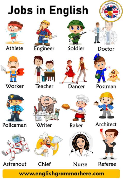 Jobs And Occupations Names With Pictures In English English Grammar Here