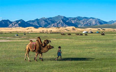 10 Things To Do In Mongolia 10 Things To Do In Mongolia