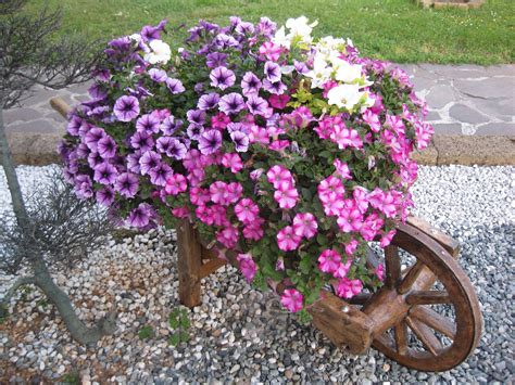Maybe you would like to learn more about one of these? Download flower wheelbarrow ｜ Michael's blog