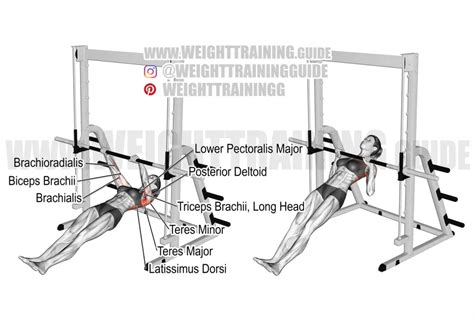 Inverted Row Exercise Instructions And Video Weighttrainingguide