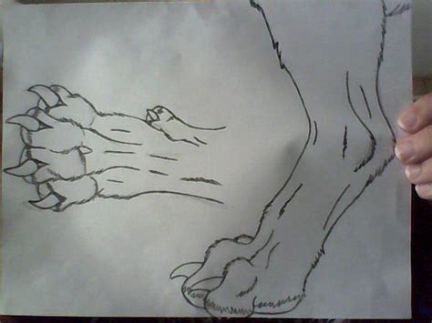 Werewolf Paw And Leg Sideview By Freebornfanatic On Deviantart