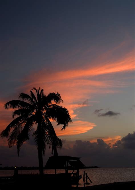 Free Stock Photo 1734 Belize Sunset Freeimageslive
