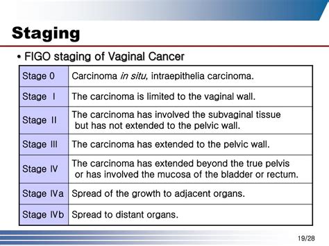Ppt Ch Cervical And Vaginal Cancer Powerpoint Presentation Free