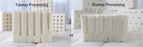 Dunlop Latex Vs Talalay Latex Whats The Difference Natural