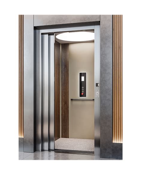 Elevators Elite Elevators No 1 Domestic Home Lifts And Platform