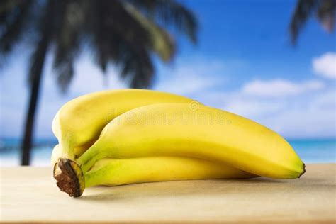 Fresh Yellow Banana With Palm Beach Behind Stock Photo Image Of Rich