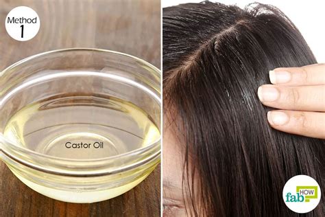 Fruit oils, biotin and castor oil. How to Use Castor Oil to Boost Hair Growth and Prevent ...