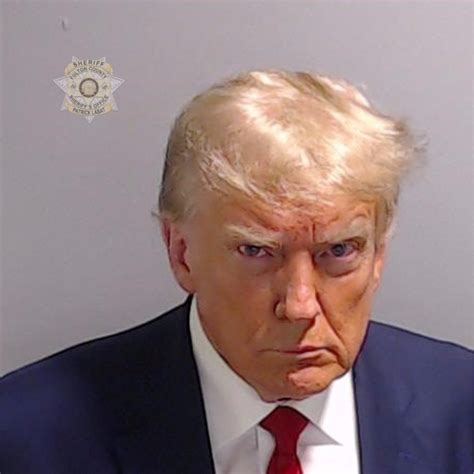 Mug Shots In Trump S Election Interference Case