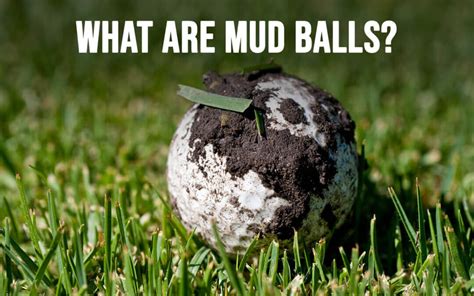 How Artificial Grass In Kansas City Prevents Mud Ball Problems