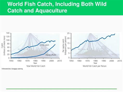 Food, soil, and pest management. PPT - Food, Soil, and Pest Management PowerPoint ...