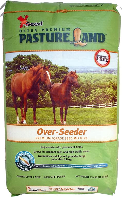 What Is The Best Grass For Horses Horse Pasture Explained Best