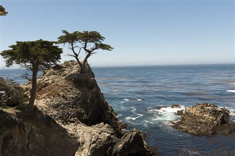 Free Images Landscape Sea Coast Tree Nature Rock Ocean Horizon
