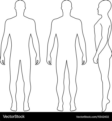 Male Human Body Outline Template Body Template Body Outline Outline Sexiezpicz Web Porn