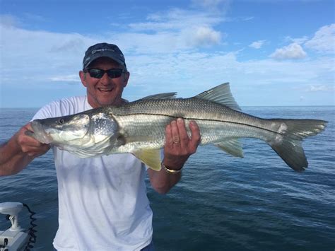What are the best lures for snook and redfish? Snook Fishing Clearwater FL