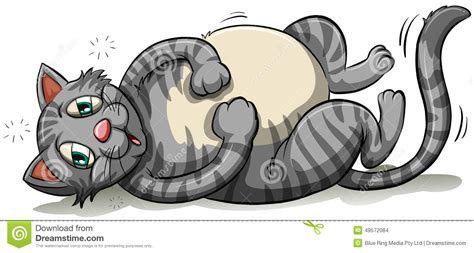 A Fat Gray Cat Stock Vector Illustration Of Furry Hunt 49572084