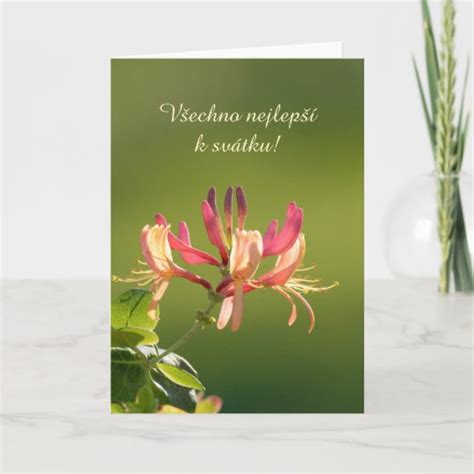 Name Day Card In Czech