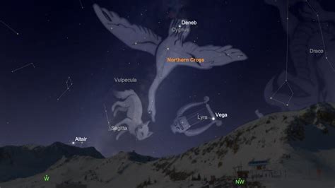 Cygnus Constellation Facts About The Swan Space