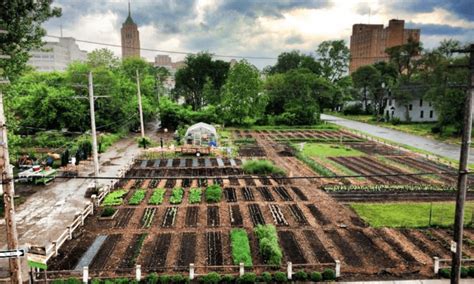 How Change Happens Inspiring Examples From Urban Food Policy Food Tank