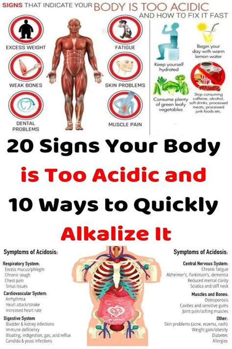 20 Signs Your Body Is Too Acidic And 10 Ways To Quickly Alkalize It Just Healthy Way Coconut