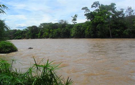 Río Caquetá Entre Brasil Y Colombia Fundación Aquae