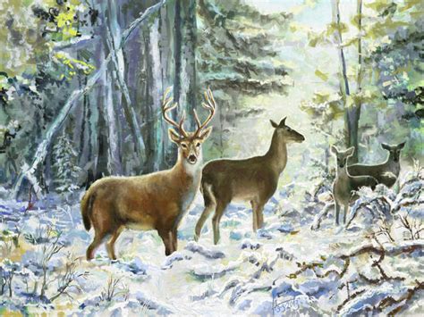 Winter Deer Artrage By Alartstudio On Deviantart