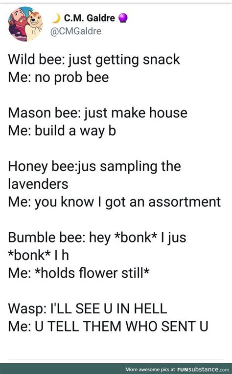 Dem Bees Stupid Funny Memes Memes Quotes Funny Stories