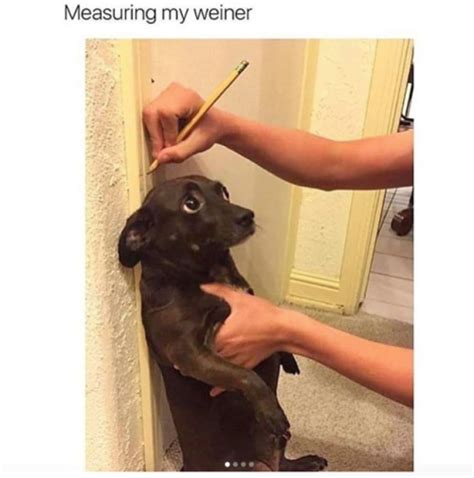 It has been mocked online for its attempt to portray the character as an edgy teenager. Funny Animal Memes Of The Day - 30 Pics E10 - Lovely ...