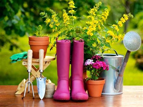 Basic Gardening Tools For Beginners Basic Gardening Tools For Beginners