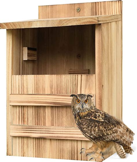 Sdmoutdoor North American Screech Owl House Wooden Owl Nesting Box For