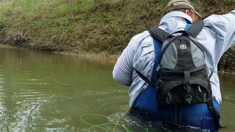 First time looking for a fishing lessons professional and not sure where to start? Central Texas River Fly Fishing - YouTube