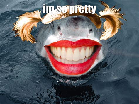 Pretty Shark Sharks With Human Teeth Shark Human Teeth