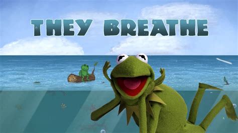 Kermit Plays They Breathe Tripping Frog Balls Underwater Cows Youtube