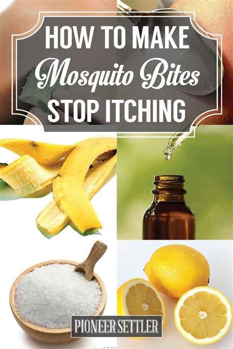 The best thing to put on a mosquito bite is cortisone cream. steroid creams work by constricting the blood vessels and reducing the inflammation that's at the root of the itchiness — something. 15 Home Remedies For Mosquito Bites That Itch ...