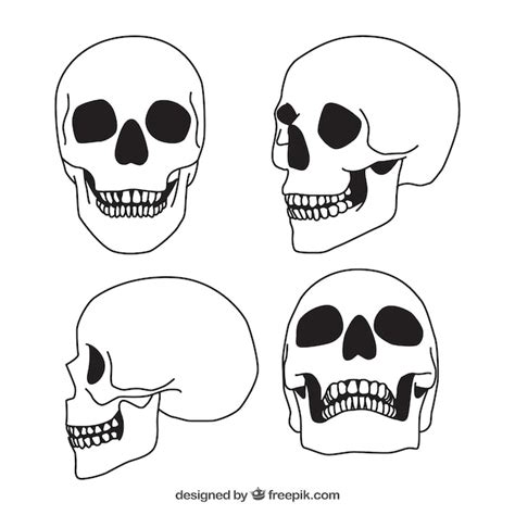 Set Of Four Hand Drawn Skulls Free Vector