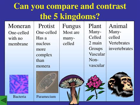 Ppt Five Kingdoms Of Living Things Powerpoint