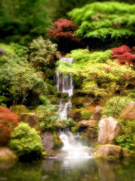 Photography By Carrie Langham Portland Japanese Garden Ambient Carrie